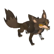 Coolwolf